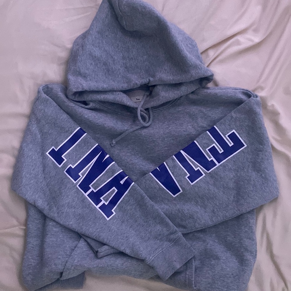 Aritzia Pullover TNA Hoodie